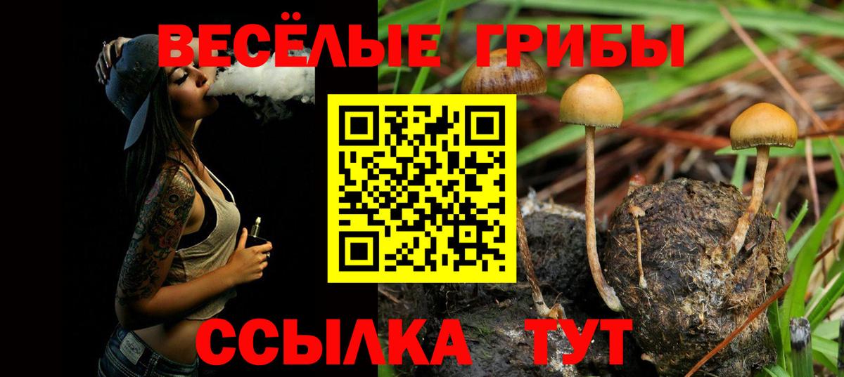 Галлюциногенные грибы мицелий  Вход с VPN  Ивантеевка 